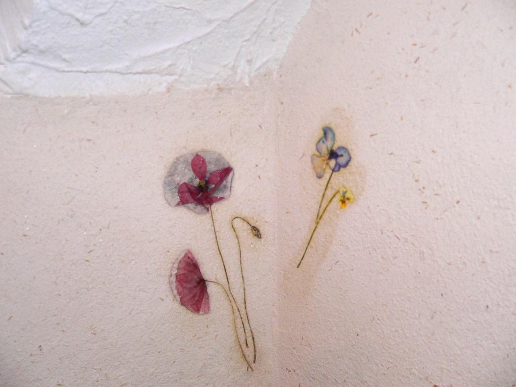 Granier Chambres Et Gite "Pollen" מראה חיצוני תמונה